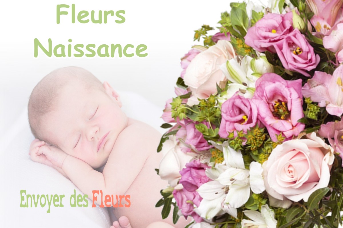 lIVRAISON FLEURS NAISSANCE à SALLES-SUR-GARONNE